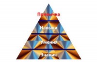 Вы — акула продаж или офисный планктон?